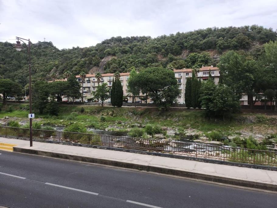 Residence Centrale Appartement 3 Pieces Garage Et Jardin Amelie-les-Bains-Palalda Luaran gambar