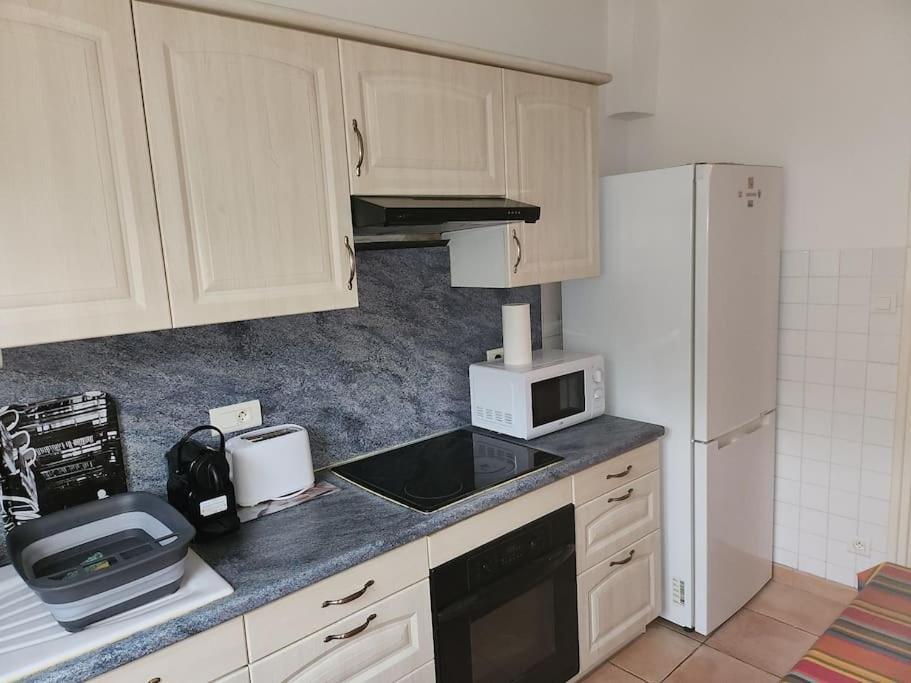 Residence Centrale Appartement 3 Pieces Garage Et Jardin Amelie-les-Bains-Palalda Luaran gambar